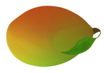 Photo of Нежное манго