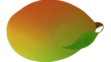 Photo of Нежное манго