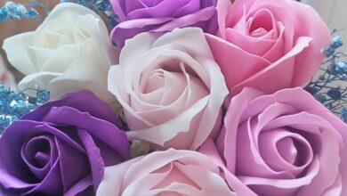 Photo of Ореховый шедевр