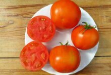 Photo of Апельсиновый магнат