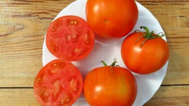 Photo of Апельсиновый магнат